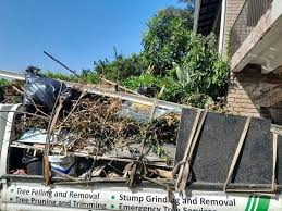 Shed Removal in Cayucos, CA